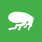 white flea vector icon on green background